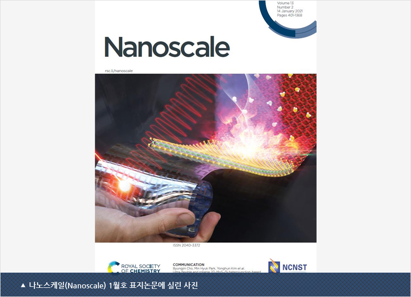 나노스케일(Nanoscale) 1월호 표지논문에 실린 사진