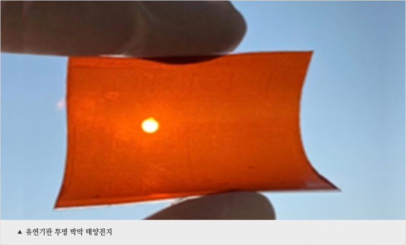 유연기판 투명 박막 태양전지
